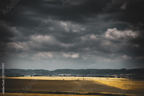 storm over golden fields © Rozalia
