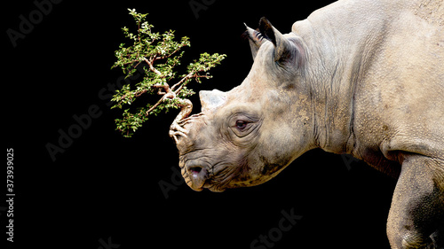 Surreal image of a rhinoceros with a tree growing where it's horn should be