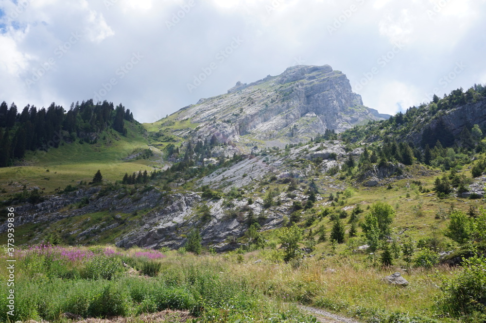 Naklejka premium Montagne en été