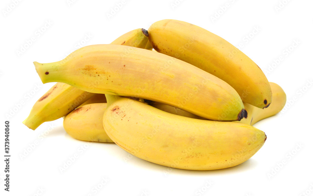 Bunch of mini bananas isolated on white
