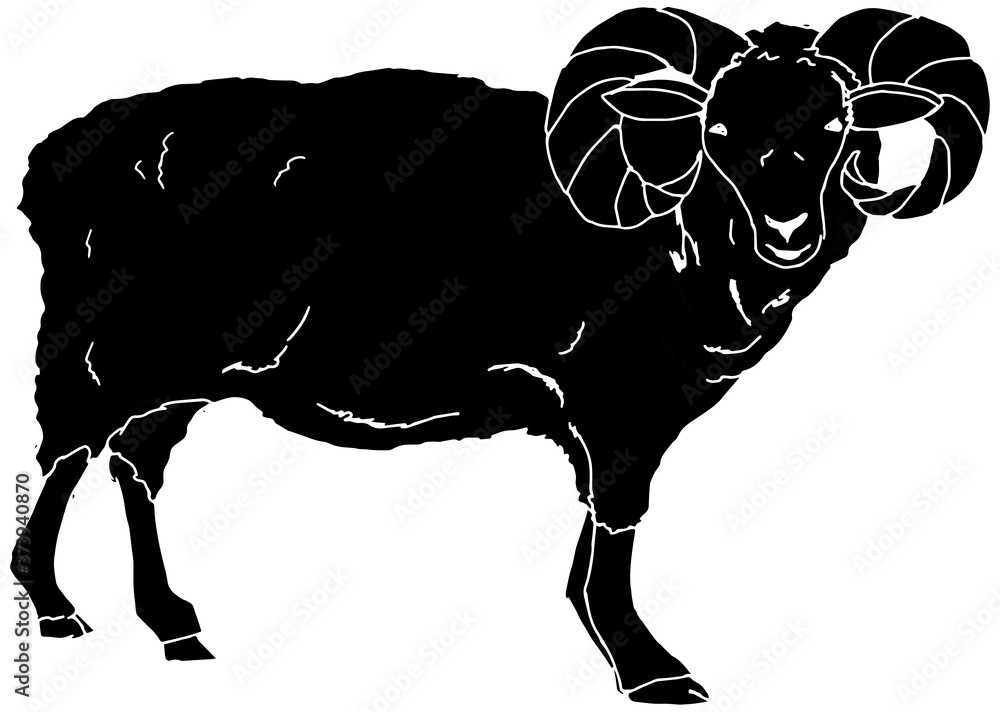 羊のシルエット アートな手書きの牡羊座のシルエットイラスト Stock Vector Adobe Stock