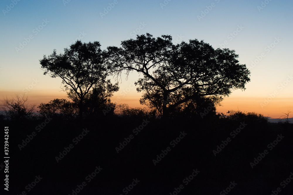 Sunset in the Kruger National Park, South Africa
