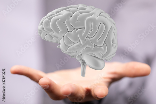 human brain imagination learning and mind