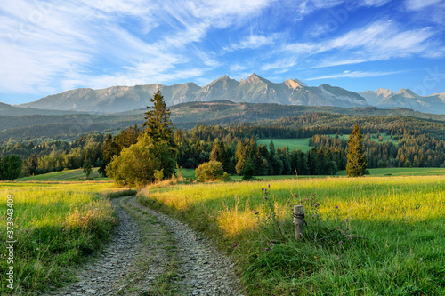 Beautiful summer landscape of Tatra mountains