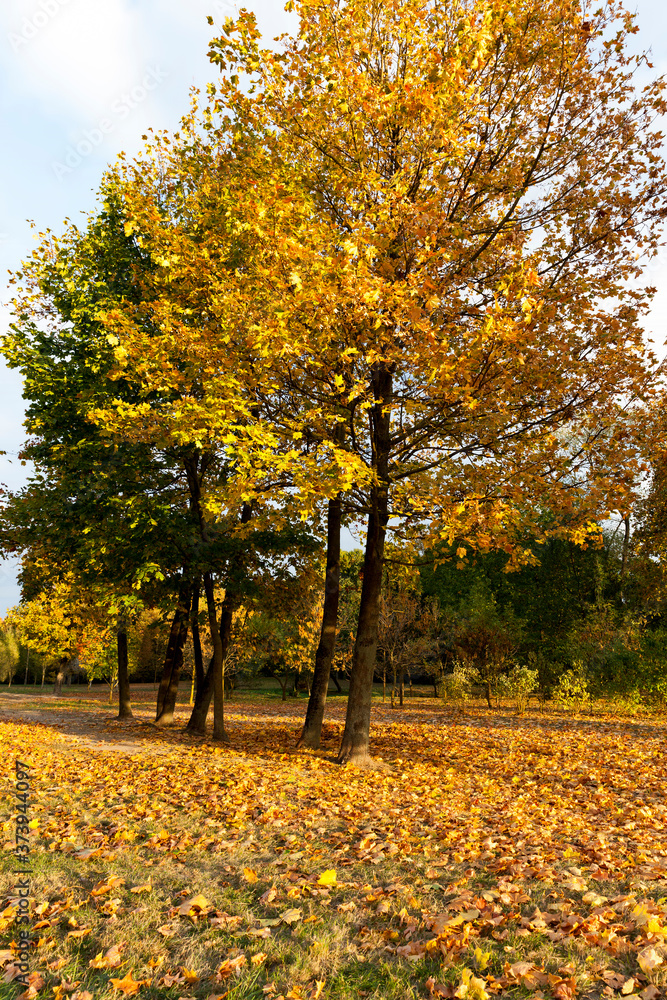 European autumn European autumn