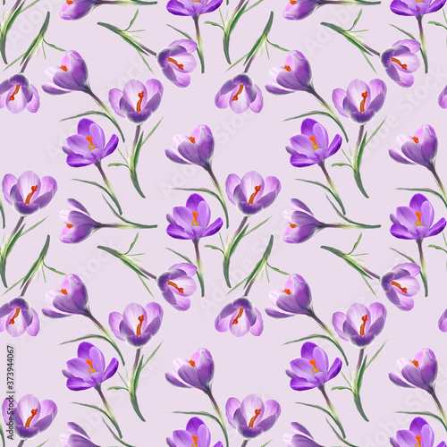 crocus flowers , seamless illustration.