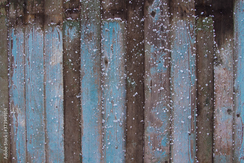 Old fence with peeling blue paint. Snow on a wooden fence in winter. Background. Copy space.