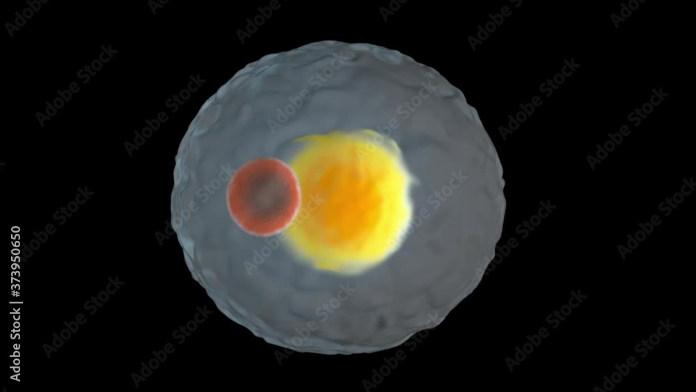 3D Animation of a Fat cells multiplying and growing in the human body