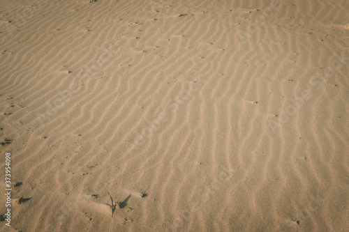 sand at a beach in Cádiz