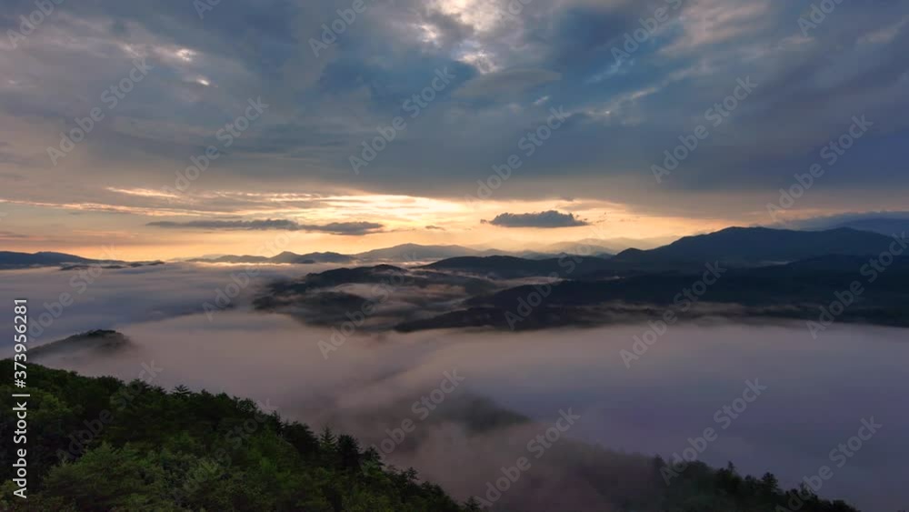 Rising view of the smokey mountain horizon view from a drone at dawn from behind trees Rising view of the smokey mountain horizon view from a drone at dawn from behind trees