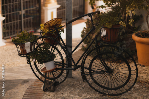 vieja bicicleta con flores en un aterdecer de la costa española photo