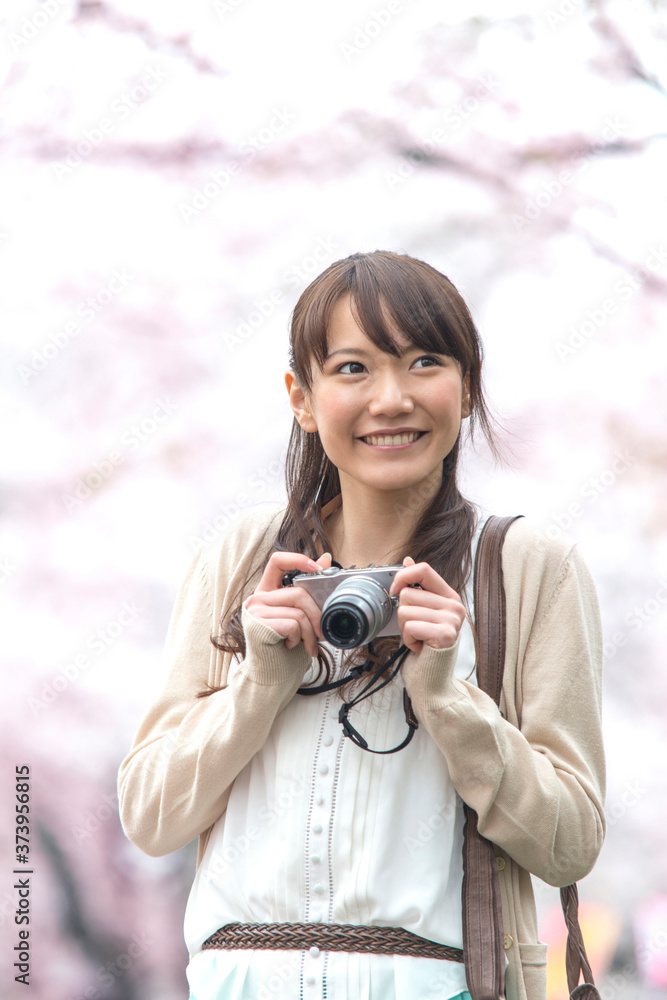 桜を撮影する女性 桜を撮影する女性