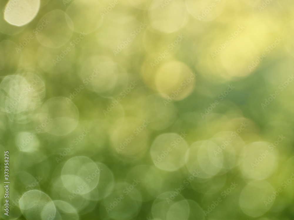 Abstract bokeh defocus glitter blur background Abstract bokeh defocus glitter blur background