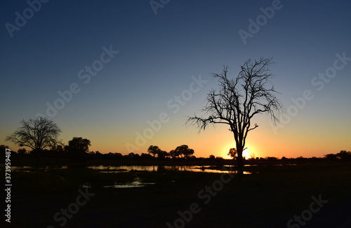 Night arriving in Botswana over the Kwai River is one of the most beautiful experiences ever photo