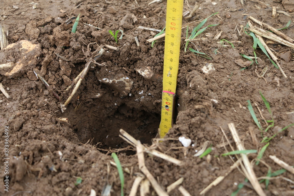 Hole resulting from soil sampling inside a cultivated field Hole resulting from soil sampling inside a cultivated field