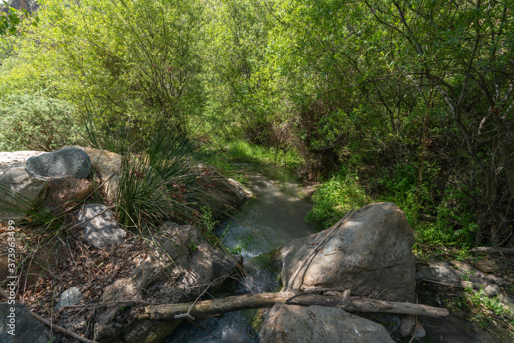 water flowing down a river, around there is vegetation water flowing down a river, around there is vegetation