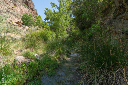 water flowing down a river, around there is vegetation