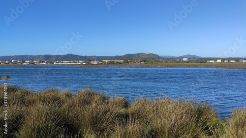 The Northern Litoral Natural Park at Ofir  Esposende  Portugal. The large estuary of the C  vado river  where you can spot migratory birds such as capped herons  terns  mallards and herring gulls.