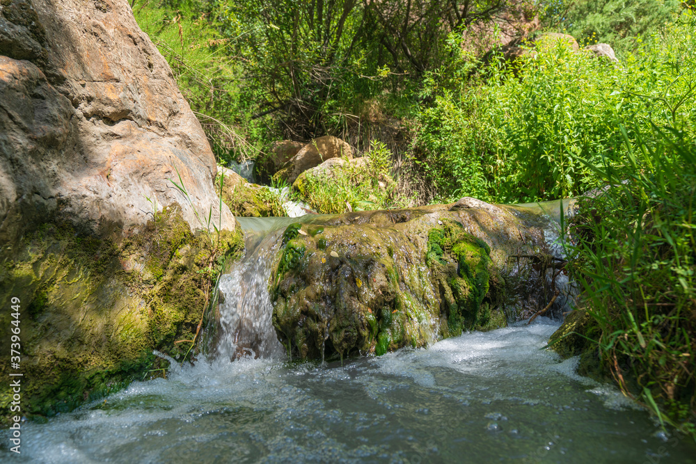 water flowing down a river, around there is vegetation water flowing down a river, around there is vegetation