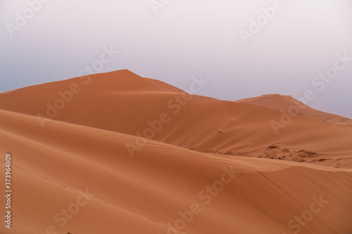 sand dunes in the sahara  morocco