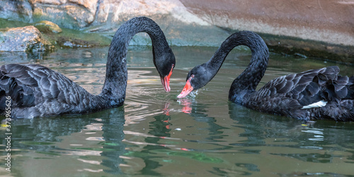 Photography Taman Burung, bird park, Malaysia, Kuala Lumpur