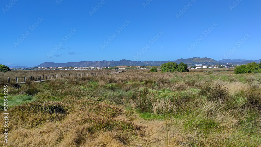 The Northern Litoral Natural Park at Ofir, Esposende, Portugal. The large estuary of the Cávado river, where you can spot migratory birds such as capped herons, terns, mallards and herring gulls. The Northern Litoral Natural Park at Ofir, Esposende, Portugal. The large estuary of the Cávado river, where you can spot migratory birds such as capped herons, terns, mallards and herring gulls.