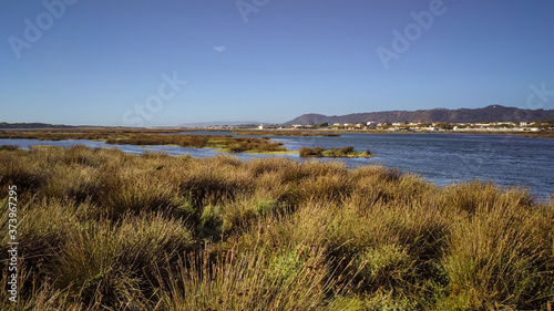 The Northern Litoral Natural Park at Ofir, Esposende, Portugal. The large estuary of the Cávado river, where you can spot migratory birds such as capped herons, terns, mallards and herring gulls. © An Instant of Time