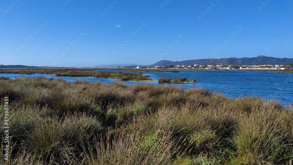 The Northern Litoral Natural Park at Ofir, Esposende, Portugal. The large estuary of the Cávado river, where you can spot migratory birds such as capped herons, terns, mallards and herring gulls. The Northern Litoral Natural Park at Ofir, Esposende, Portugal. The large estuary of the Cávado river, where you can spot migratory birds such as capped herons, terns, mallards and herring gulls.