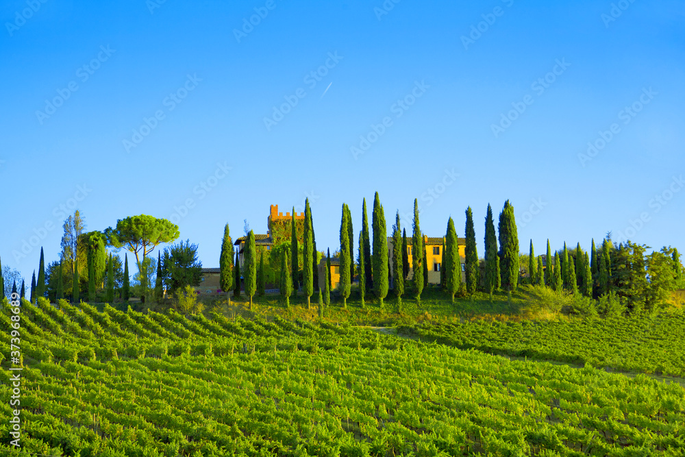 Beautiful landscape in Tuscany near Montepulciano. Beautiful landscape in Tuscany near Montepulciano.