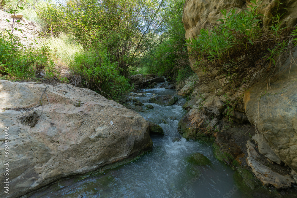 water flowing down a river, around there is vegetation water flowing down a river, around there is vegetation