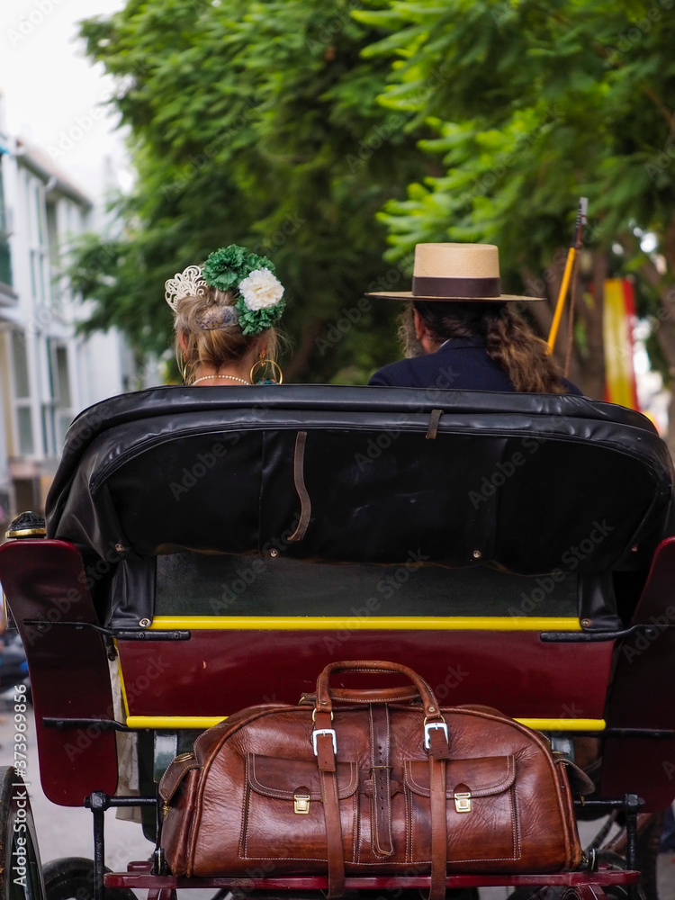 Parte trasera de un carruaje de epoca con una antigua maleta de piel
