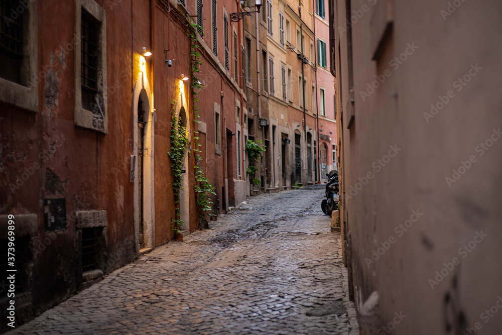 Fototapeta premium rome after covid