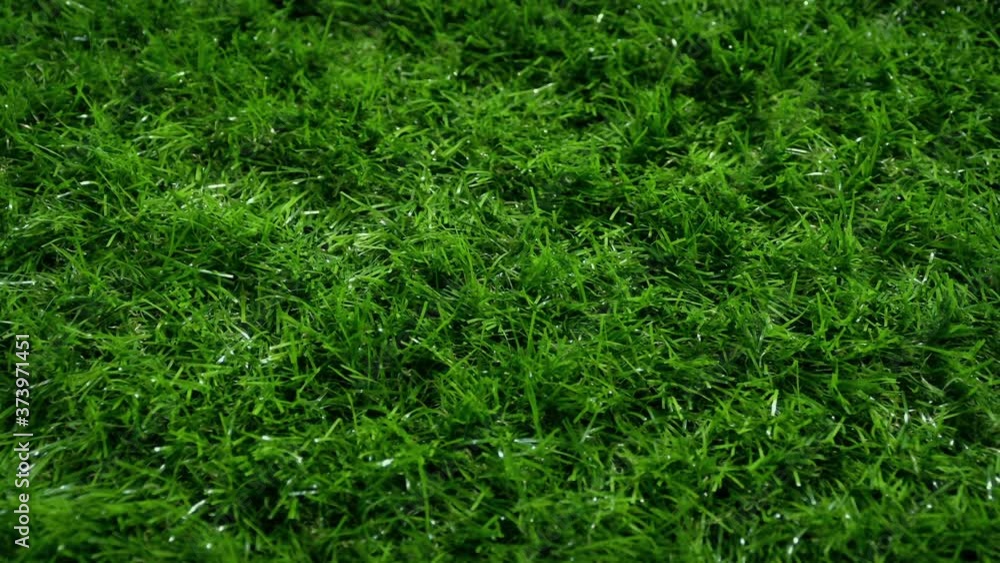 Artificial Grass Pitch Moving Shot Artificial Grass Pitch Moving Shot