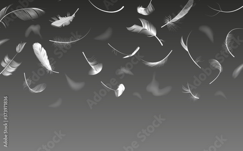 Falling feathers. Realistic twirled fluffy feathers, white fluffy angel wings feather flow, floating bird plumage vector background illustration. Floating white swan fluffy lightweight photo