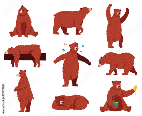 Brown grizzly bear. Cartoon wild cute bears, forest fur animal, sitting, playing and sleeping wildlife mammal, funny bear vector illustration set. Bear animal, wild forest cartoon, grizzly brown