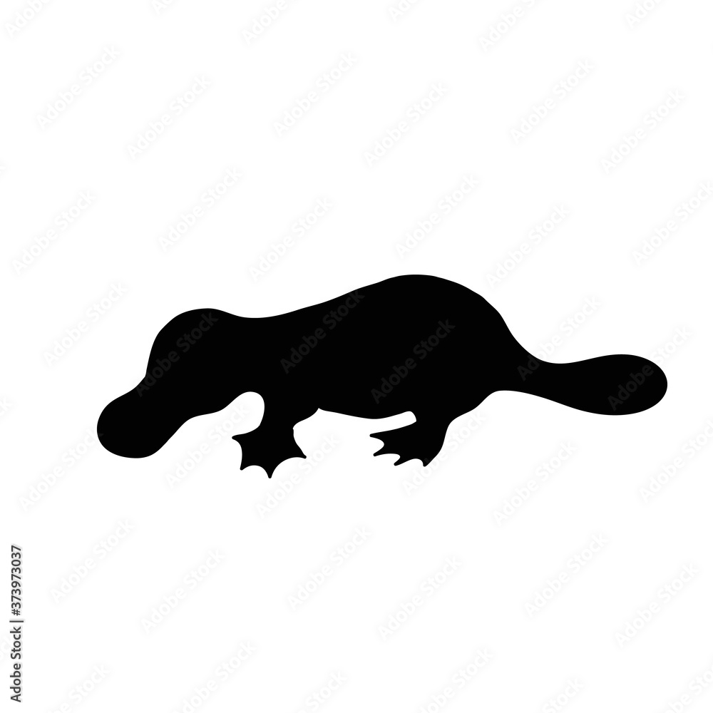 Platypus vector silhouette. Australian animal black sticker.