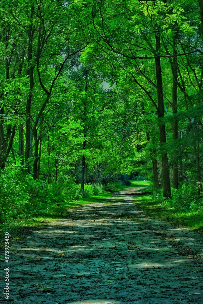 Fototapeta premium Sylvan Park, Toronto #StunningCanada