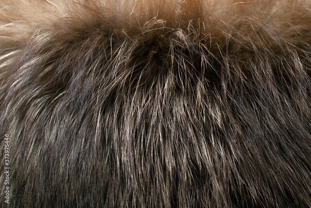 Fototapeta premium Brown fur as background. Closeup