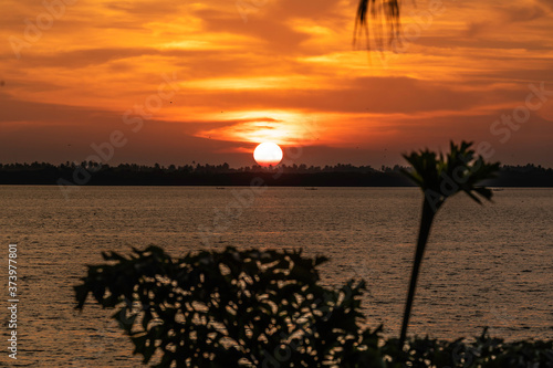Sri Lanka, Negombo fishmarket