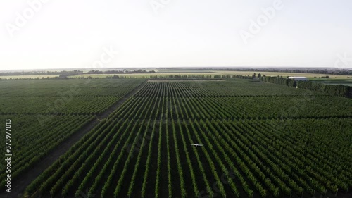 Unmanned aircraft utilisation for Pests management in organic agriculture photo