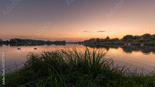 Lake Schulensmeer 2 ducks swimming  grass in the foreground  trees in the background under a beautiful orange magenta sky at sunset. Herk-de-Stad Flanders  Belgium