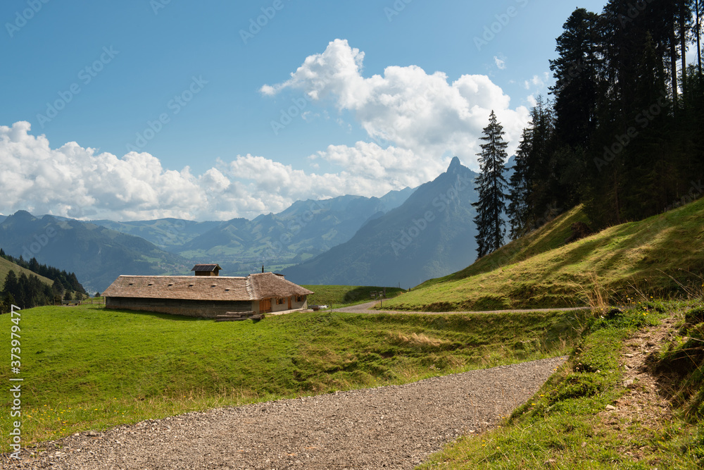 View on Dent de Broc mountain from a hiking path, Switzerland View on Dent de Broc mountain from a hiking path, Switzerland