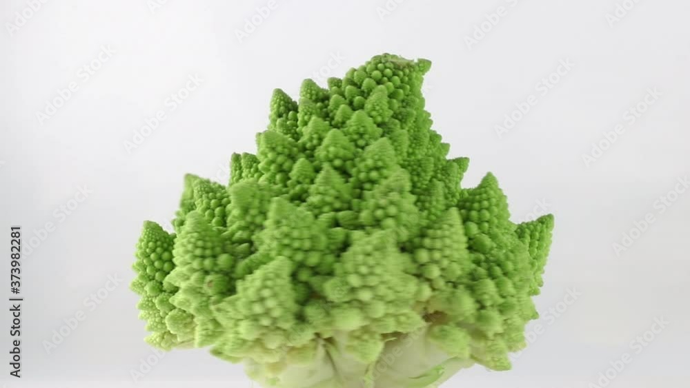 Romanesco broccoli rotating above a white background. promotional video of cabbage with copy space Romanesco broccoli rotating above a white background. promotional video of cabbage with copy space
