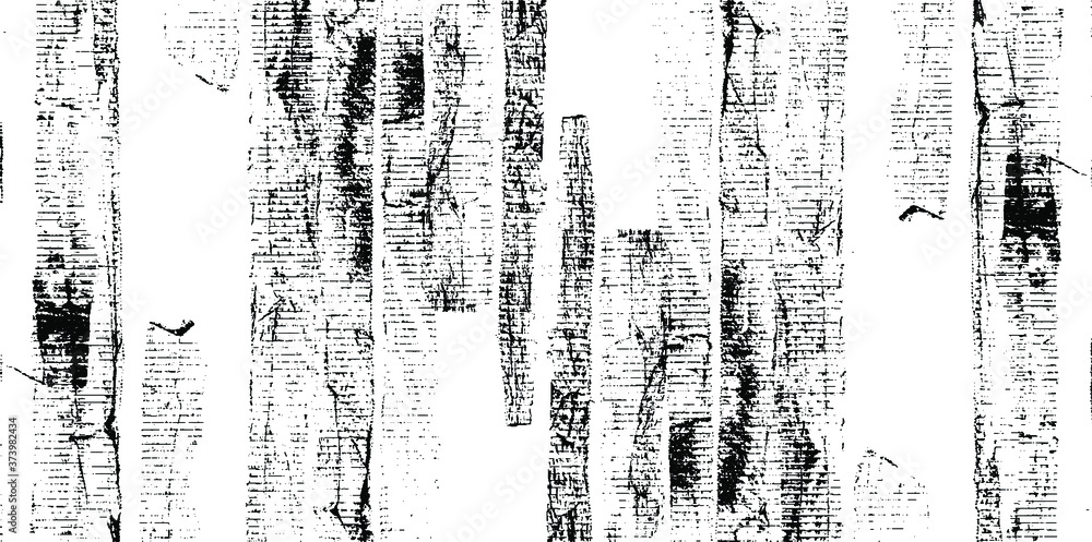 Rough black and white texture vector. Distressed overlay texture. Grunge background. Abstract textured effect. Vector Illustration. Black isolated on white background. EPS10 Rough black and white texture vector. Distressed overlay texture. Grunge background. Abstract textured effect. Vector Illustration. Black isolated on white background. EPS10