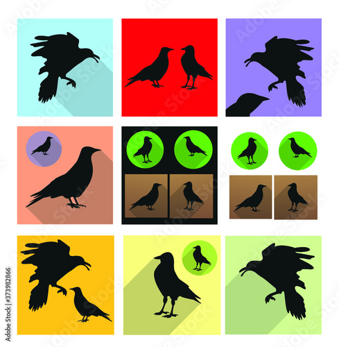 Jackdaw, daw