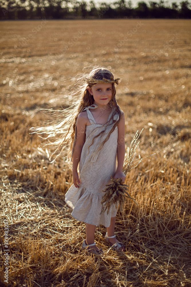 Obraz premium girl child in a dress and a wreath on her head stands on a mown field