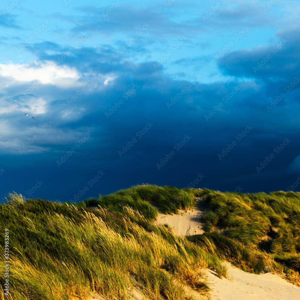 Landscape photo of dune grass against a dark cloudy sky in the late afternoon sun