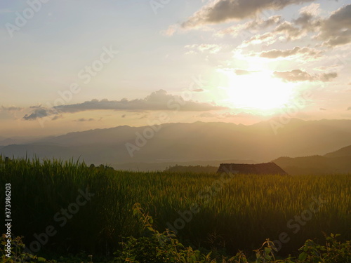 Evening atmosphere of the sky and rice field in rural area of Chiang Mai, Thailand - Pa Bong Piang