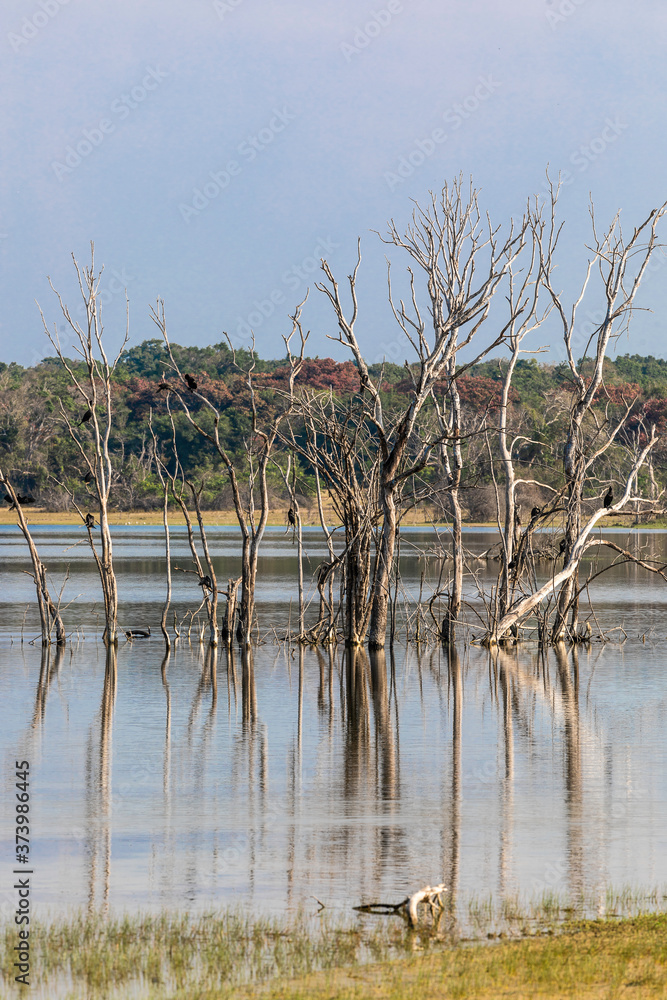 Sri Lanka, Wilpattu National Park