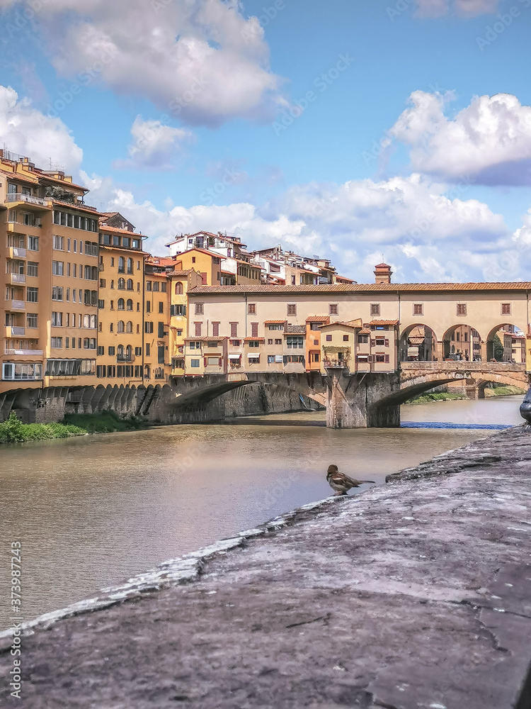 Spring in Florence 2020 during Covid crisis